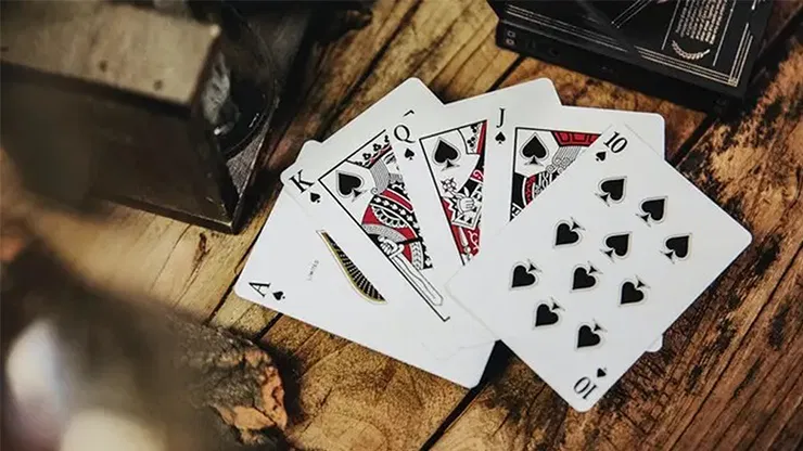 Card College Playing Cards - Gilded Deluxe Elegant Box Set - image 6