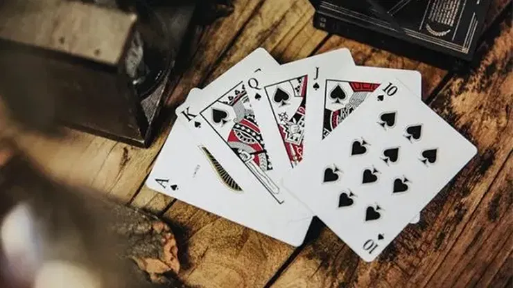 Card College Playing Cards - Elegant Box Set - image 5