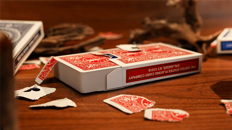 Card to Anything - thumbnail 2