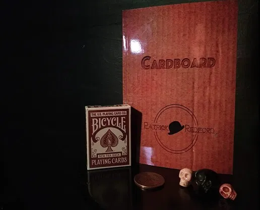 CARDBOARD The Book - image 2