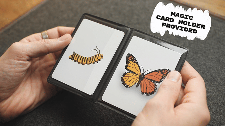 Caterfly - thumbnail 2