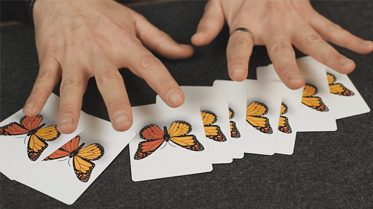 Caterfly - thumbnail 3