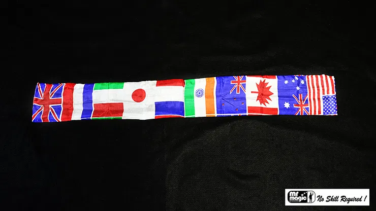 5in x 40in Chameleon Flag Streamer