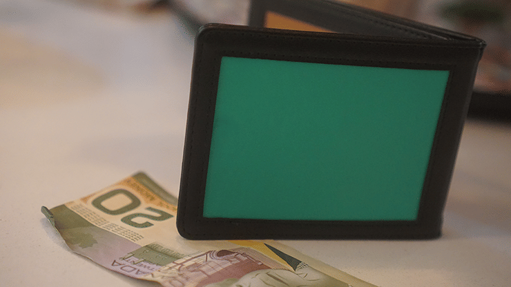 Chameleon Skin Wallet - thumbnail 5