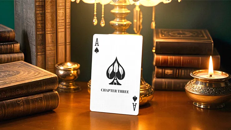 Chapter Three Playing Cards - image 4