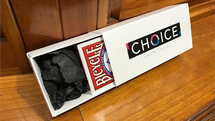 Choice - thumbnail 3