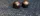 Chop Cup Balls Black Leather - image 2