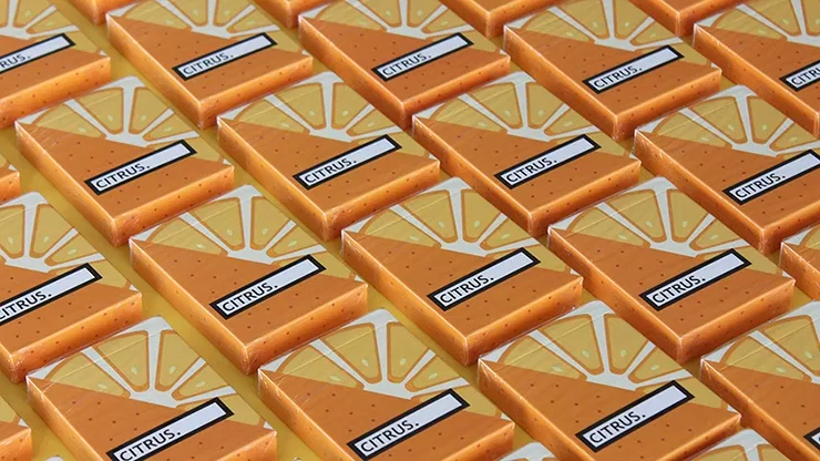 Citrus Playing Cards - image 1