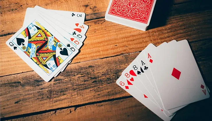 Classic Twins Playing Cards - image 6