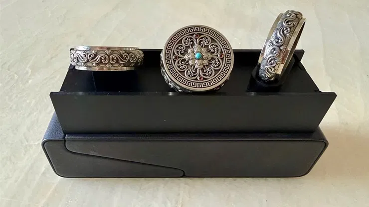 Coin Vault Case and Display Set - image 1