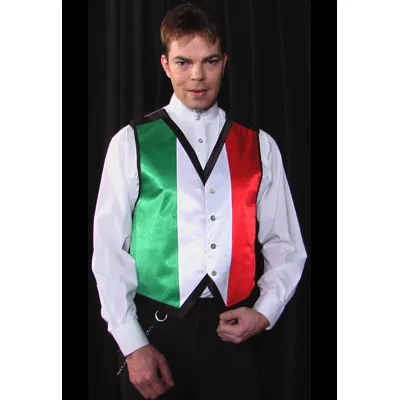 Color Changing Vest - image 1