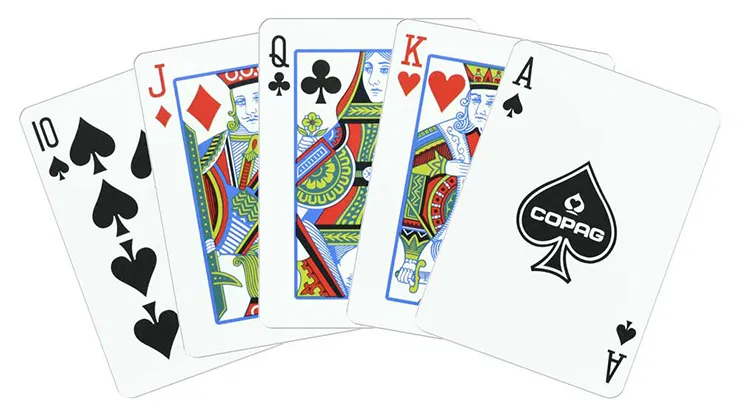 Copag 1546 Plastic Playing Cards (Poker Size | Double-Deck Set) - image 11