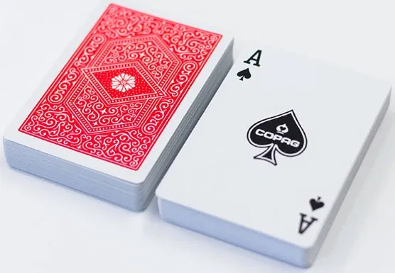 COPAG 310 Playing Cards - image 3