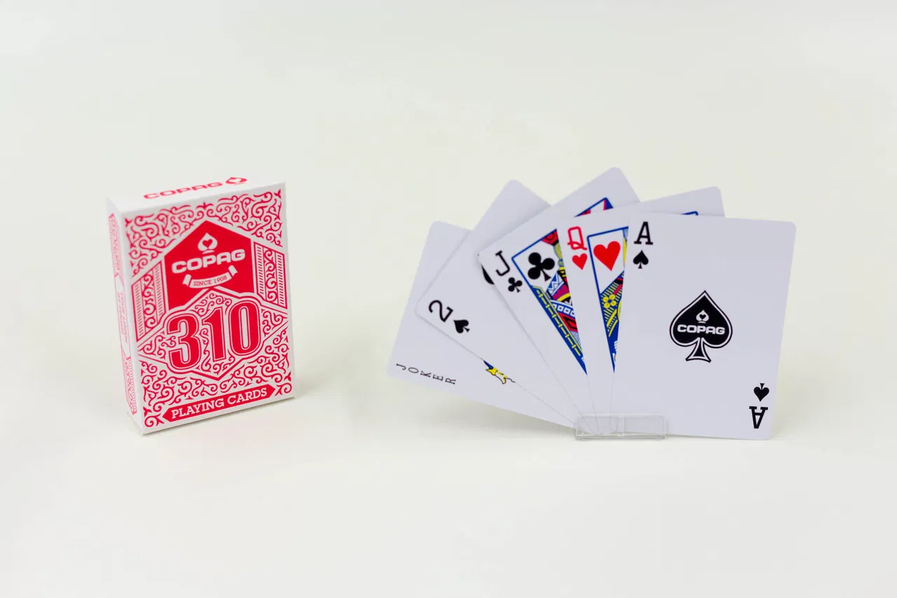COPAG 310 Playing Cards - image 4