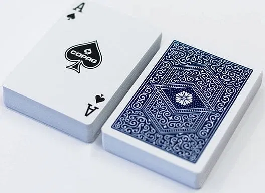 COPAG 310 Playing Cards - image 6