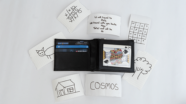 Cosmos - thumbnail 3