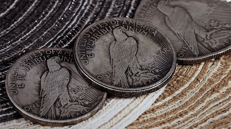 CS Peace Dollar - thumbnail 5
