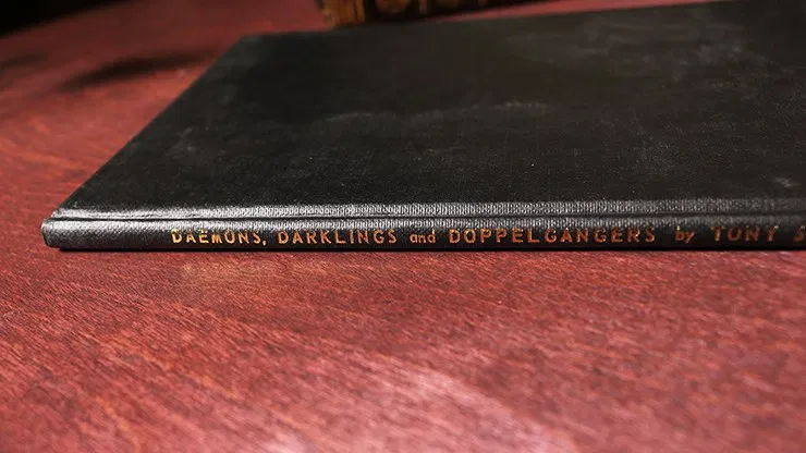 Daemons, Darklings and Doppelgangers - image 2