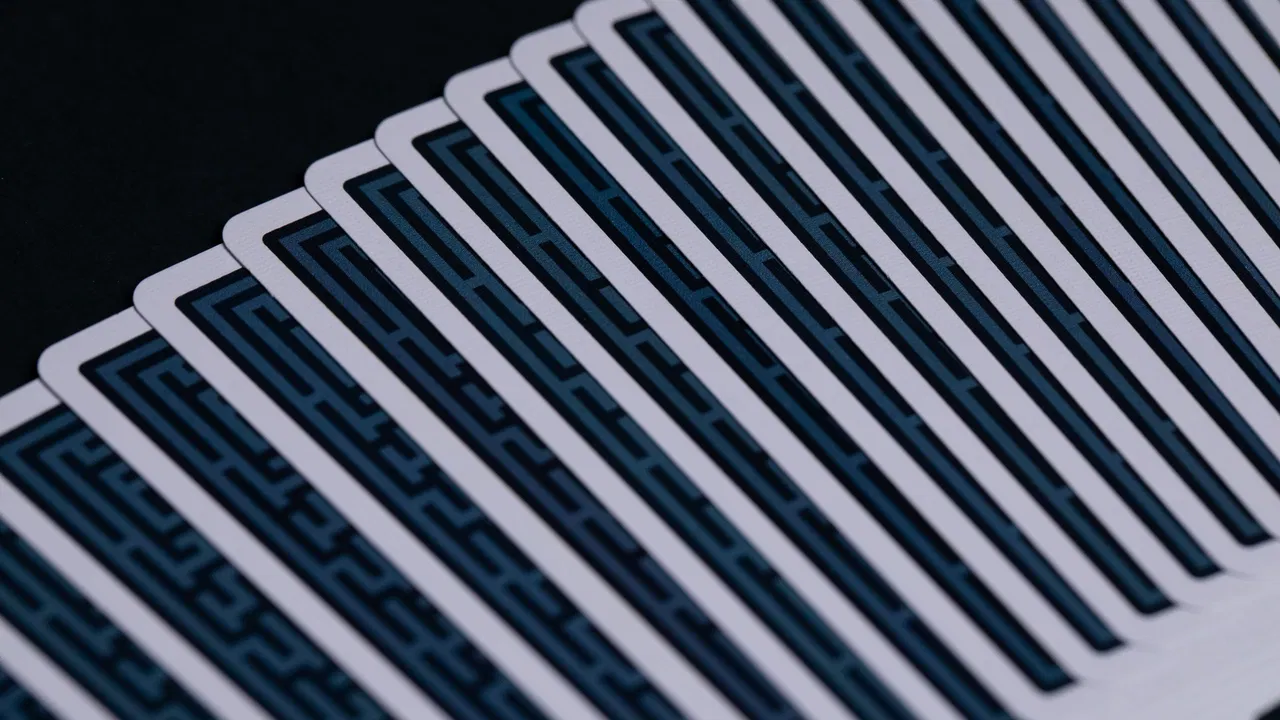 DG Maze Deck - image 16