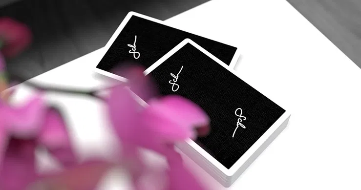 Daniel Schneider Limited Edition Playing Cards - image 3