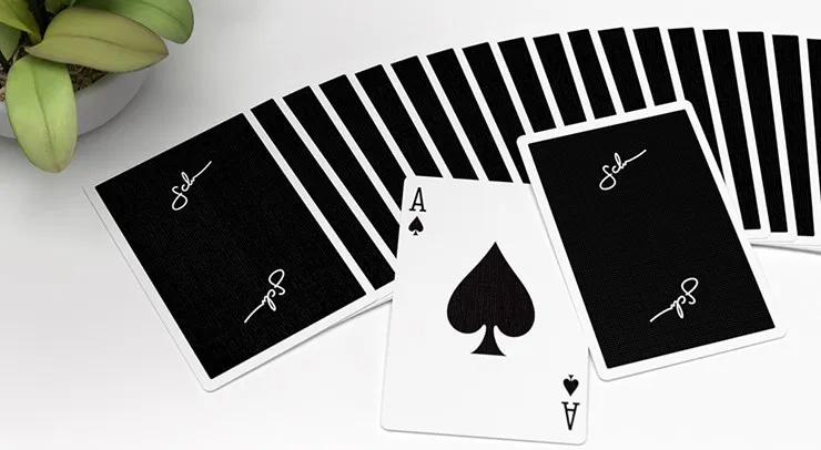 Daniel Schneider Limited Edition Playing Cards - image 5