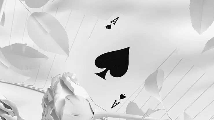 Daniel Schneider White Edition Playing Cards - image 4