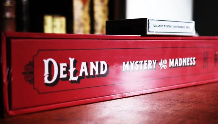 DeLand: Mystery and Madness - image 3