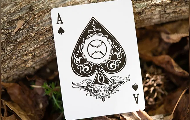 DeLand's Deck (Daisy & Nifty) - image 4