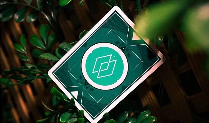 Delusion Playing Cards - image 2