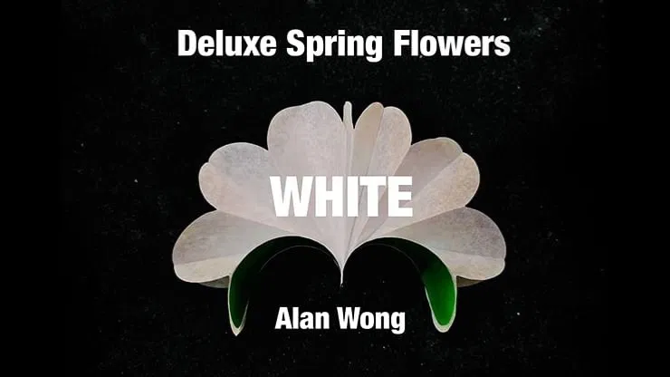 Deluxe Spring Flowers - image 5