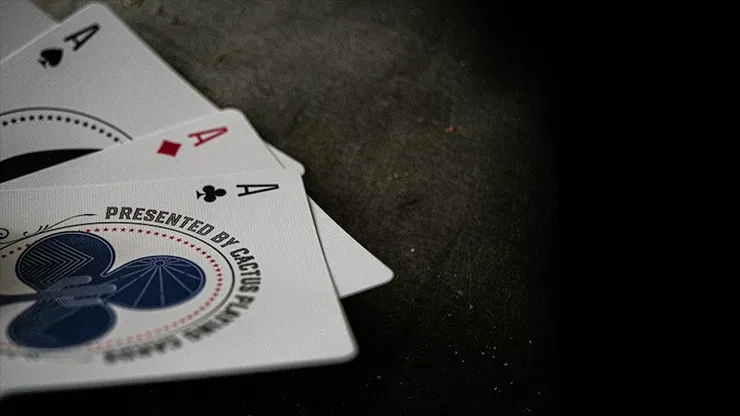 Desert Design Playing Cards - image 3