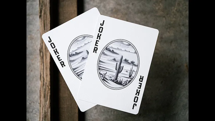 Desert Design Playing Cards - image 4