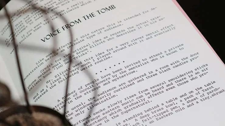 Devil's Diary - image 4