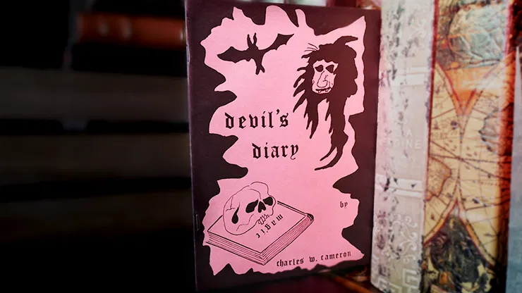 Devil's Diary - image 1