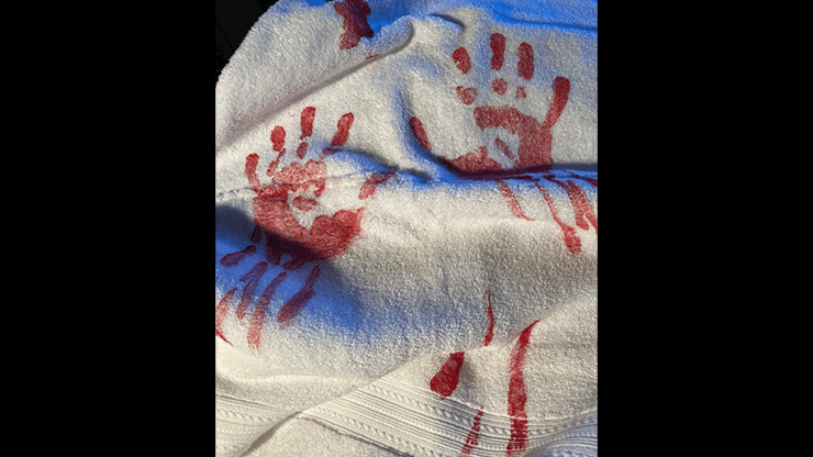 Dirty Drop Cloth (magnetic, bloody version) - thumbnail 4