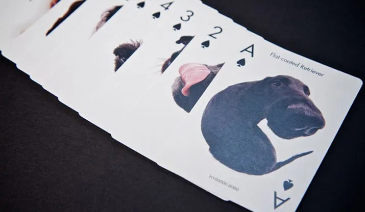 Dogs Playing Cards - image 3