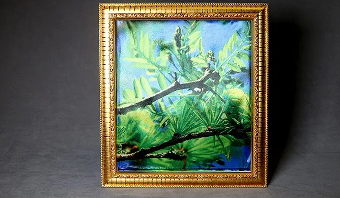 Dove Frame (Photo) - image 2