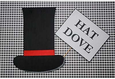 Dove Hat - thumbnail 2