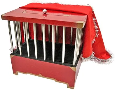 Dove to Rabbit Cage