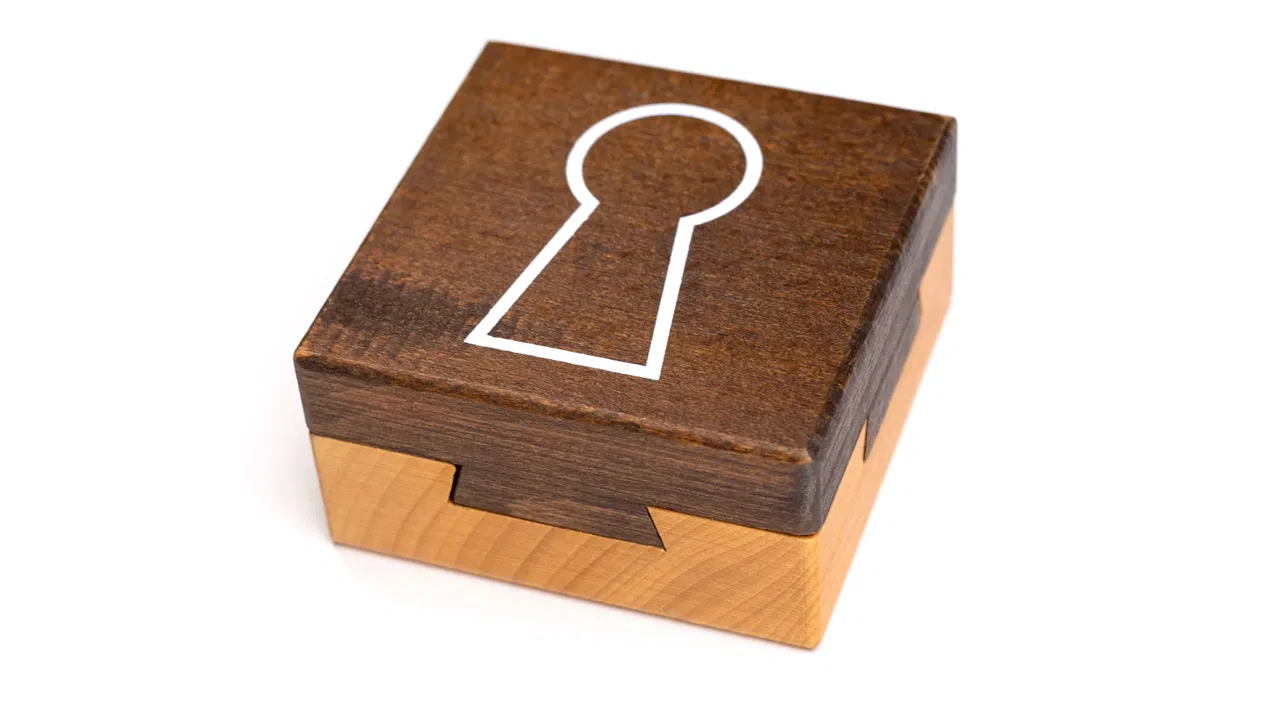 Dovetail Puzzle Box - image 4