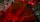Draconian Crimson Playing Cards - image 6