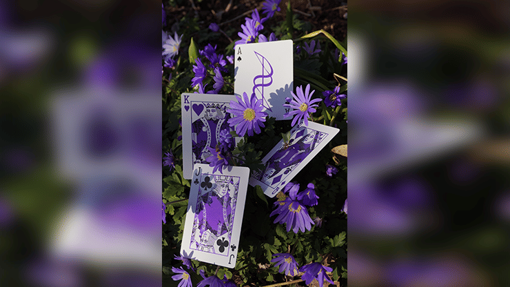 Dream of Butterflies - thumbnail 2