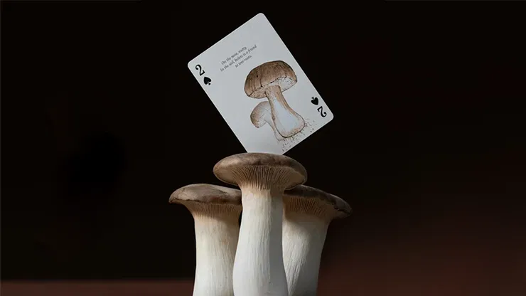 Eastern Forest Playing Cards - image 2