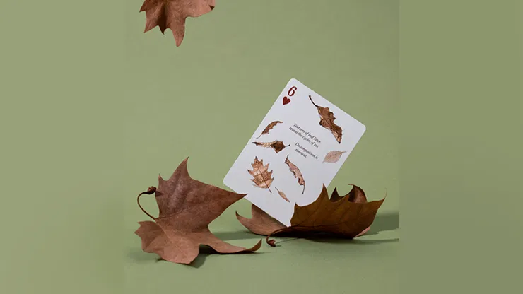 Eastern Forest Playing Cards - image 3