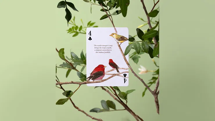 Eastern Forest Playing Cards - image 4