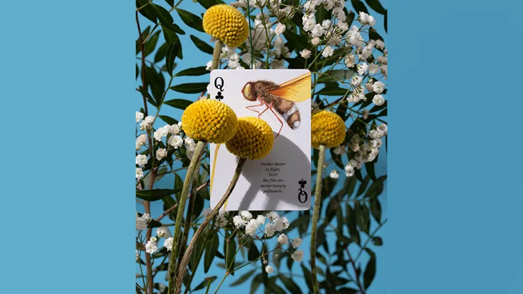 Eastern Forest Playing Cards - image 5