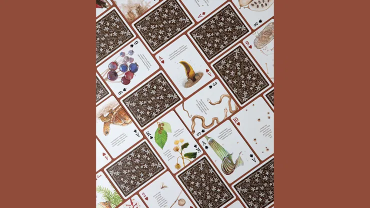 Eastern Forest Playing Cards - image 6