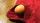 Premium Egg Bag (Bacon Magic) - image 8