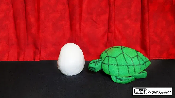 Egg to Tortoise - image 2