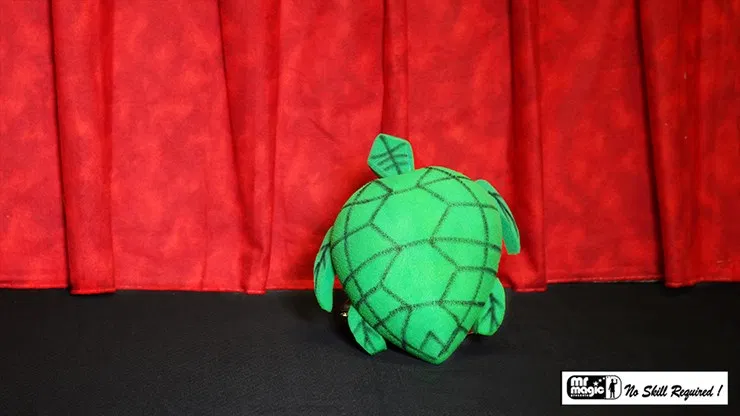Egg to Tortoise - image 1